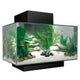 Fluval Edge Aquarium