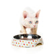 Sushi Delight - Melamine Cat Bowl
