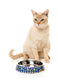 FuzzYard - Easy Feeder Cat Bowl Pluto Pussycat