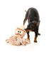 FuzzYard Dog Toy - Sir David Octoborough