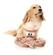 FuzzYard Dog Toy - Sir David Octoborough