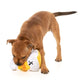Fuzzyard Dog Toy - Gordon Quacksay