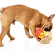 Fuzzyard Dog Toy - Firequacker