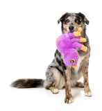Fuzzyard Dog Toy - Weborah The Spider