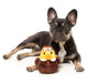 FuzzYard - Dog Toy Amelia Quackhart