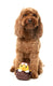 FuzzYard - Dog Toy Amelia Quackhart