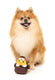 FuzzYard - Dog Toy Amelia Quackhart