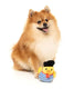 FuzzYard - Dog Toy Timotheé Chalaquack