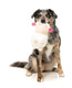FuzzYard Dog Toy - Bahh Bara