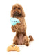 FuzzYard - Dog Toy Croissant & Cappuccino