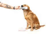 FuzzYard - Dog Toy Fetch My Slippers & Paper