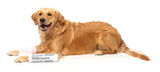 FuzzYard - Dog Toy Fetch My Slippers & Paper