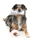 FuzzYard - Dog Toy Fetch My Slippers & Paper