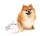 FuzzYard - Dog Toy Fetch My Slippers & Paper