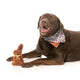 Fuzzyard Dog Toy - Choc Bunny