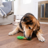 Outward Hound Dental Asparagus