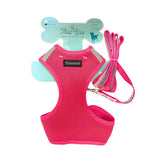 True Love Harness and Leash Set