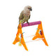 Acrylic Bird Stand for Small Parrots