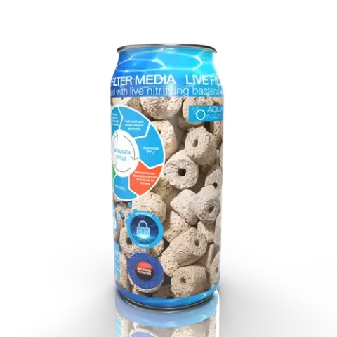 Live Ceramic Rings 500ml Can