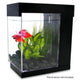 Marina EZ Care Betta Kit