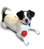 Play Strong Rubber Ball