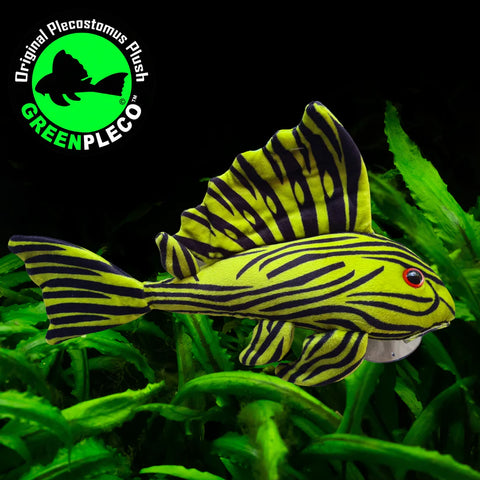 Fish Plushie - Royal Pleco 26cm
