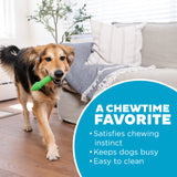Outward Hound Dental Asparagus
