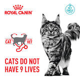 Royal Canin Cat Exigent Aromatic