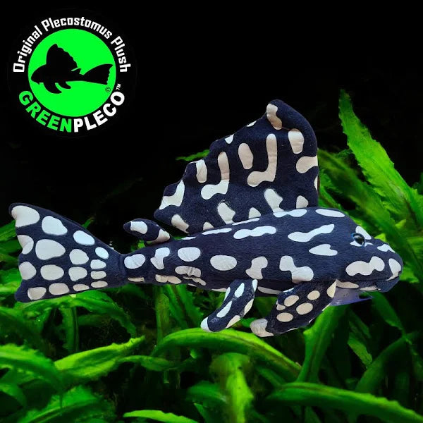 Fish Plushie Sapphire Pleco 30cm Upmarket Pets Melbourne