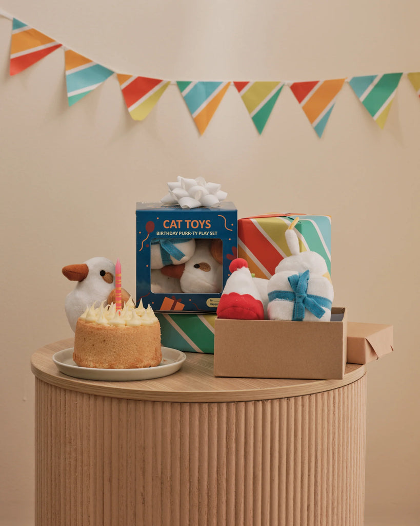 Eco Boco Birthday Purr-ty Play Set