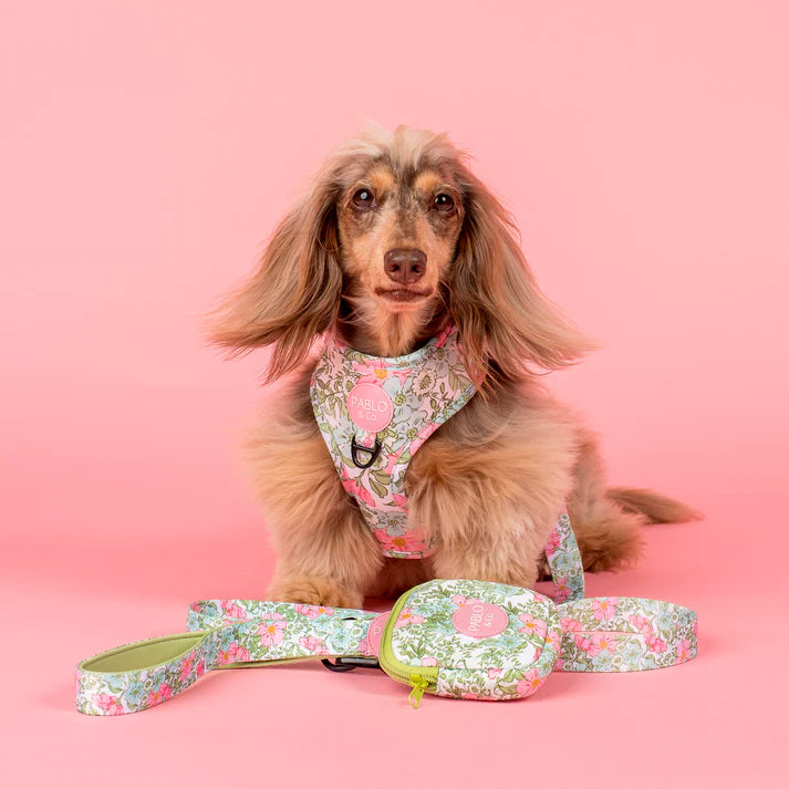 Pablo & Co Dog Leash Flora & Fern