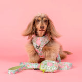 Pablo & Co Dog Leash Flora & Fern
