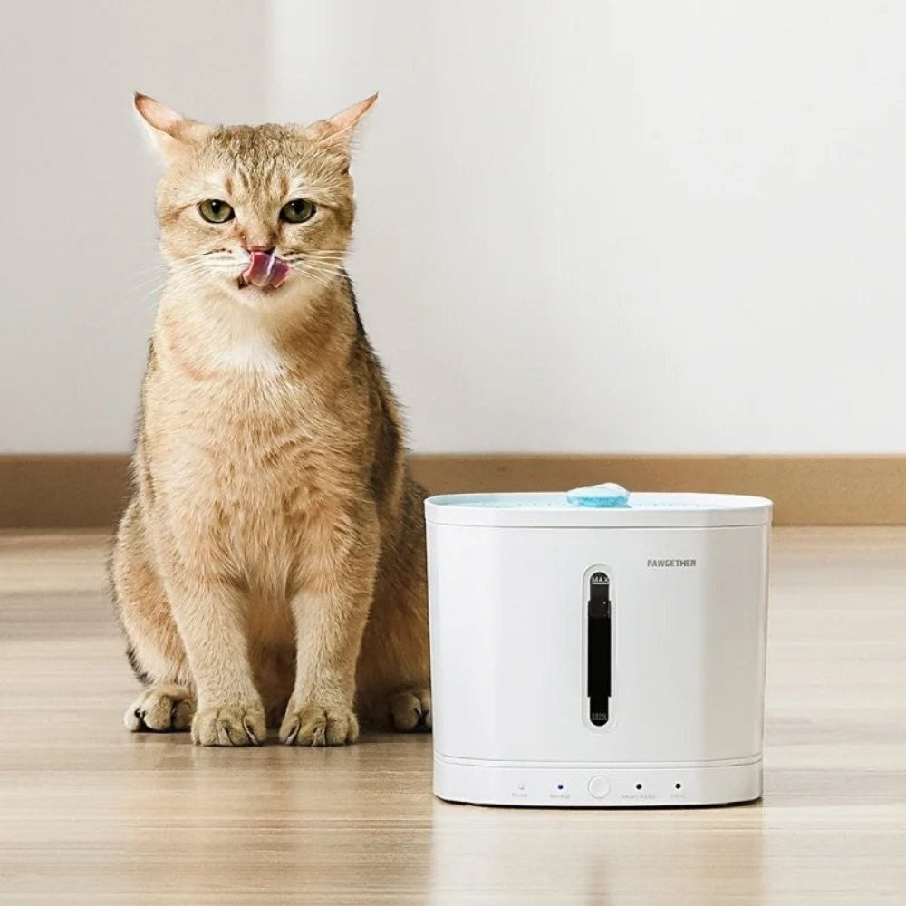 Pawgether Smart Pet Fountain Drip 1T