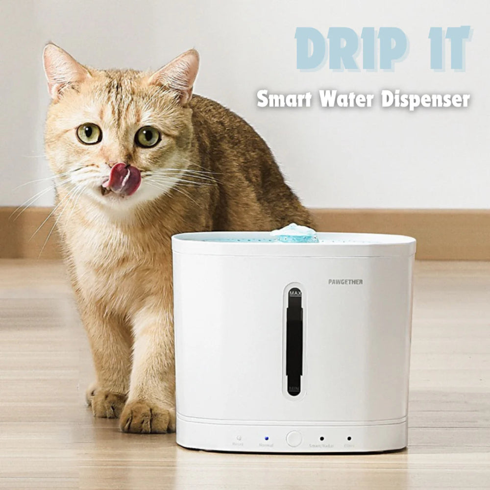 Pawgether Smart Pet Fountain Drip 1T