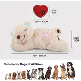 All For Paws Little Buddy Comfort Warm Bear
