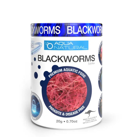 Aqua Natural - Freeze Dried Blackworm