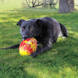 Kong Flexball Sport Football