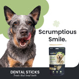 Zamipet Dental Sticks Joints Med/Large Dog