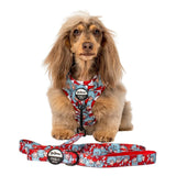Pablo & Co Leash Dr. Seuss Thing 1 & Thing 2