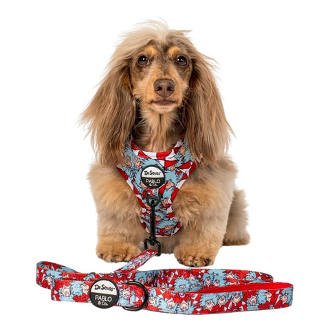 Pablo & Co Leash Dr. Seuss Thing 1 & Thing 2