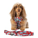Pablo & Co Leash Dr. Seuss Thing 1 & Thing 2