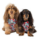 Pablo & Co Adjustable Harness Dr. Seuss Thing 1 & Thing 2
