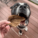 Kirby Pet Treats - Don't Be Boaring Boar Ears