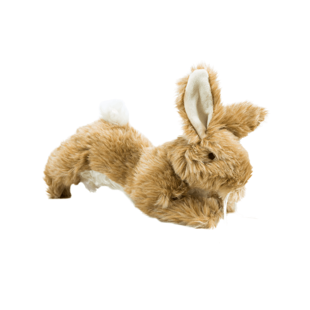 Cuddlies Rabbit – Upmarket Pets Melbourne