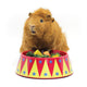 Hay Pigs Junior Food Taming Bowl