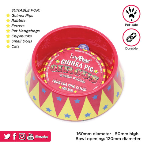Hay Pigs Junior Food Taming Bowl