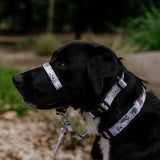 Stylish Hound Halter