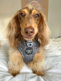 Pablo & Co Adjustable Harness Black & Grey Leopard
