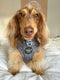Pablo & Co Adjustable Harness Black & Grey Leopard