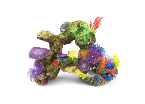 Kazoo Soft Coral With Rock and Plants
